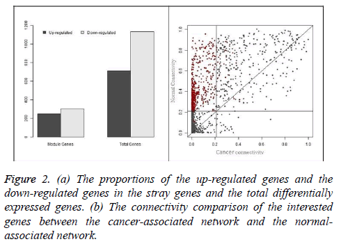 biomedres-connectivity-comparison