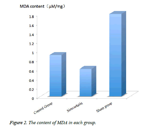 biomedres-content-MDA