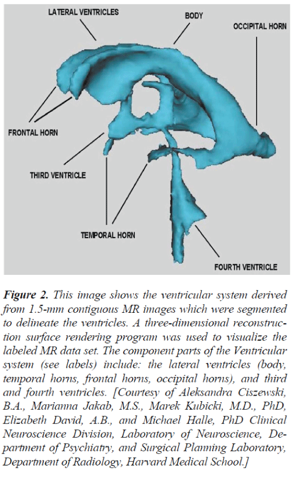 biomedres-contiguous-MR-images