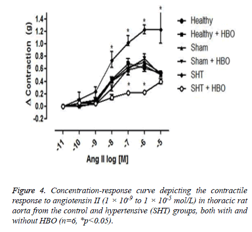 biomedres-contractile-response-angiotensin