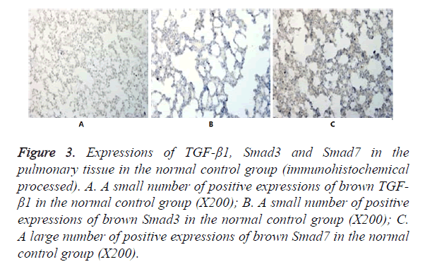 biomedres-control-group