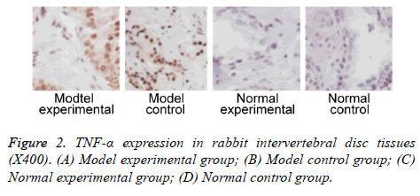 biomedres-control-group