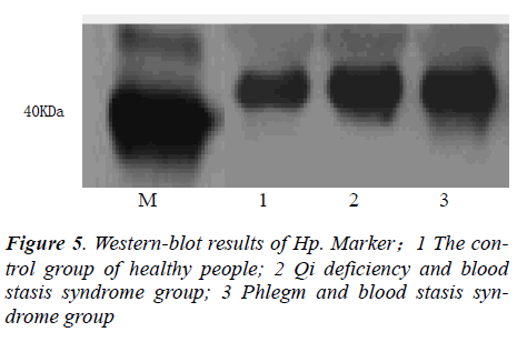 biomedres-control-group-healthy-people