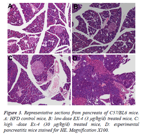 biomedres-control-mice