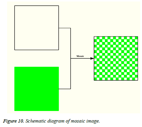 biomedres-coordinate-system