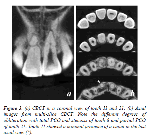 biomedres-coronal-view