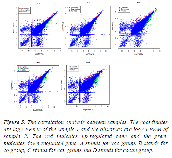 biomedres-correlation-analysis