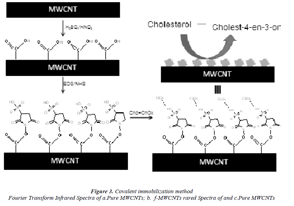 biomedres-covalent-immobilization