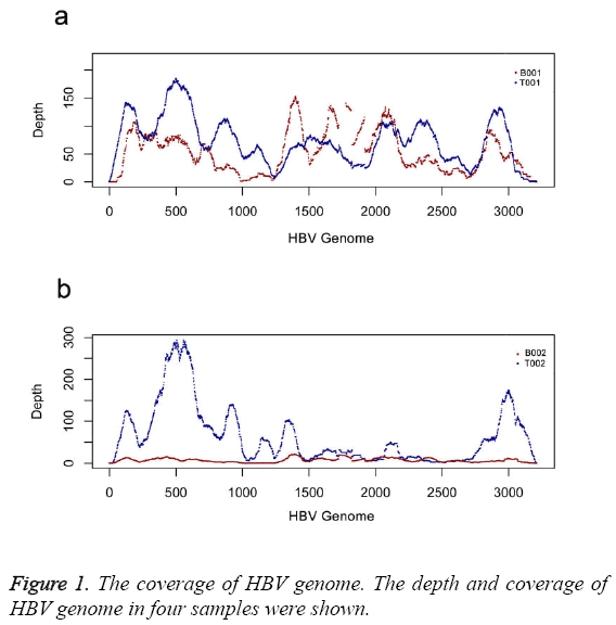 biomedres-coverage-HBV-genome