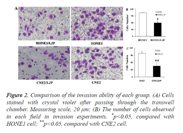 biomedres-crystal-violet