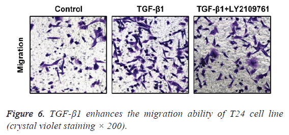 biomedres-crystal-violet-staining