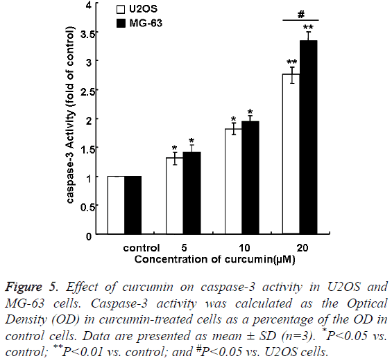 biomedres-curcumin-caspase-3-activity