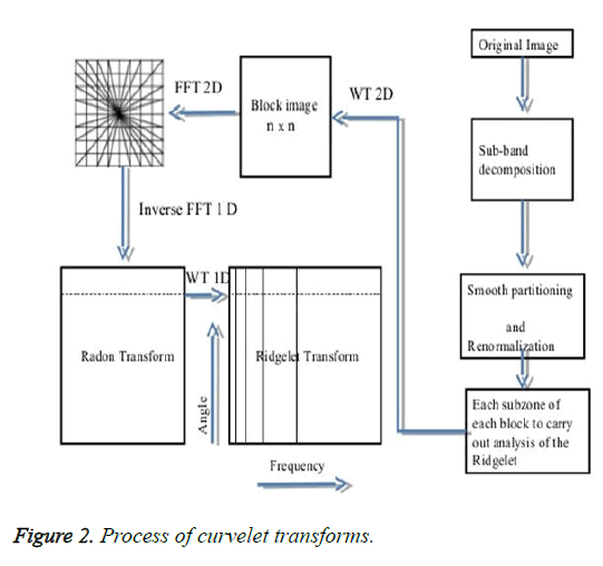 biomedres-curvelet-transforms