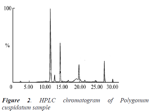 biomedres-cuspidatum-sample