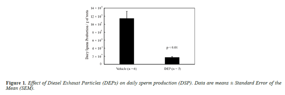 biomedres-daily-sperm-production