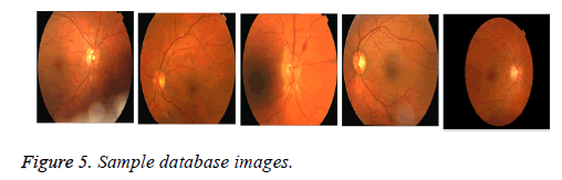 biomedres-database-images