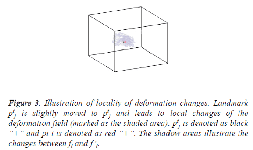 biomedres-deformation-field