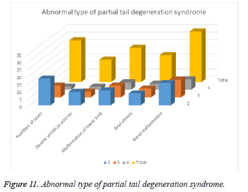 biomedres-degeneration-syndrome