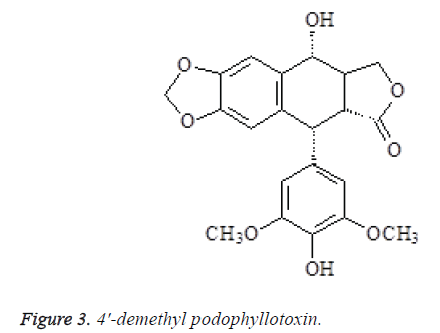 biomedres-demethyl-podophyllotoxin