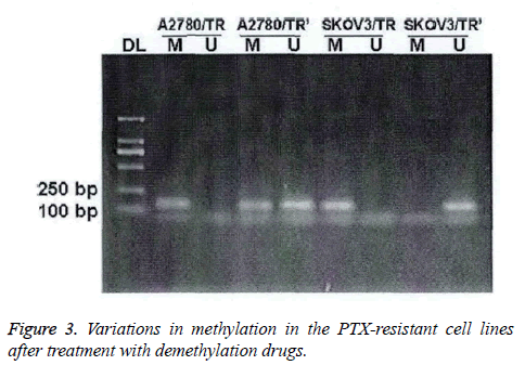 biomedres-demethylation-drugs