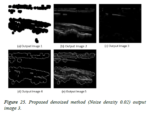 biomedres-denoised-method