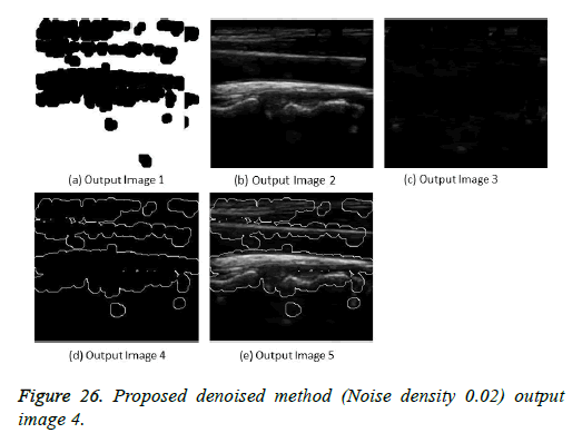 biomedres-denoised-method