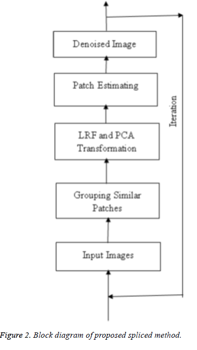 biomedres-denoising-ultrasound