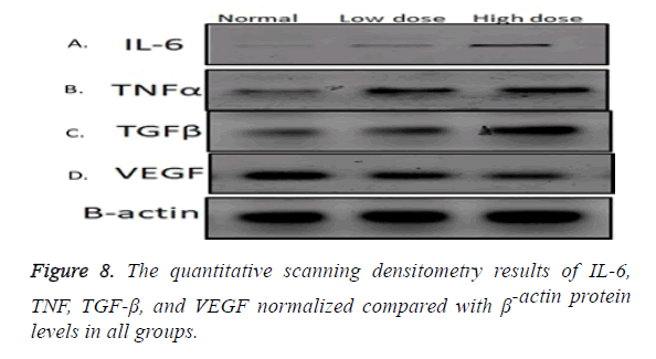 biomedres-densitometry-results