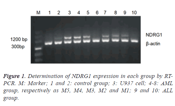 biomedres-determination-expression