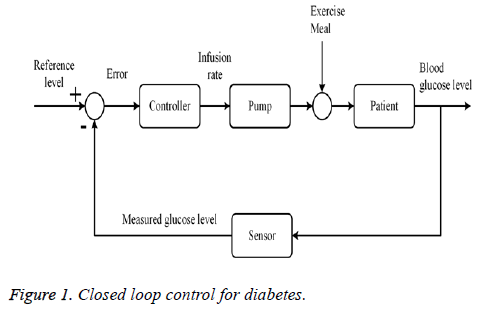 biomedres-diabetes-loop