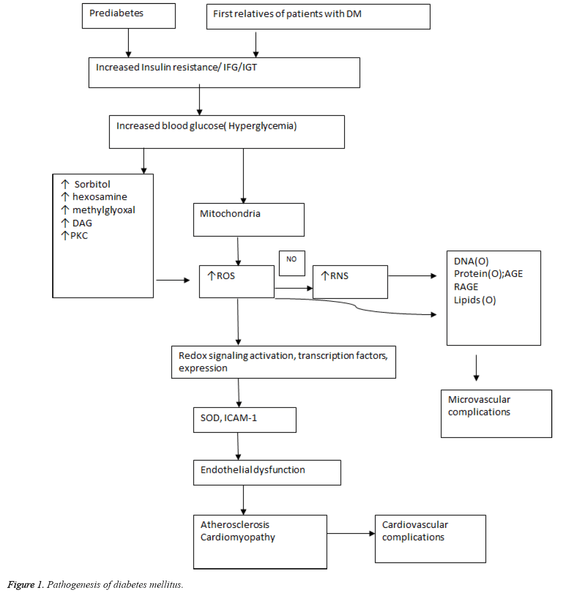 biomedres-diabetes-mellitus