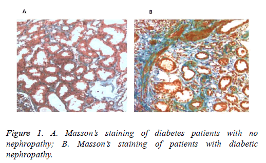 biomedres-diabetes-patients