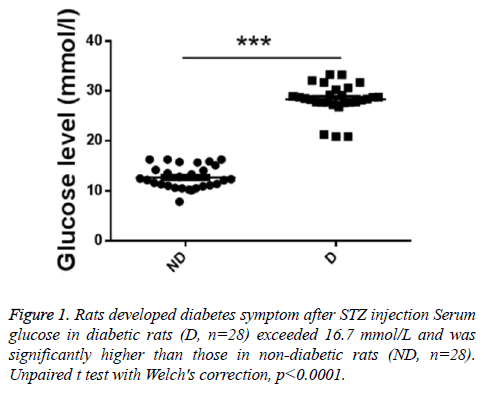 biomedres-diabetes-symptom