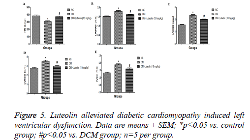 biomedres-diabetic-cardiomyopathy