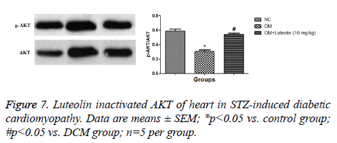 biomedres-diabetic-cardiomyopathy