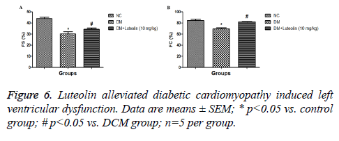 biomedres-diabetic-dysfunction