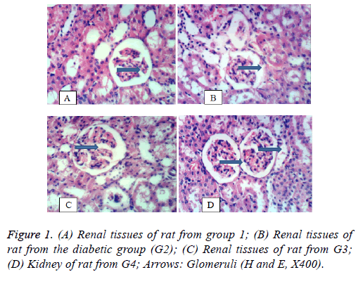 biomedres-diabetic-group