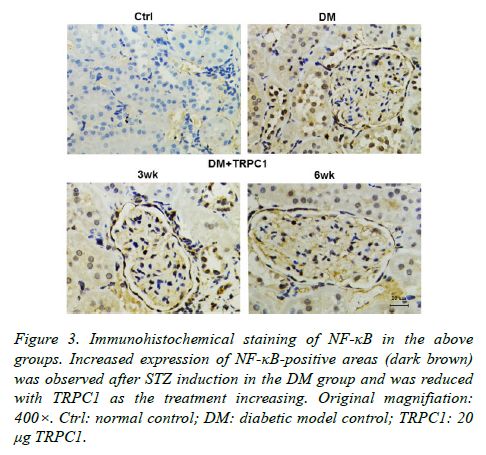 biomedres-diabetic-model-control