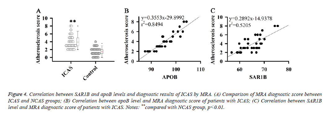 biomedres-diagnostic-score