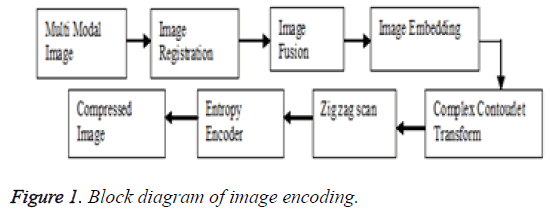 biomedres-diagram-image-encoding