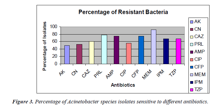 biomedres-different-antibiotics