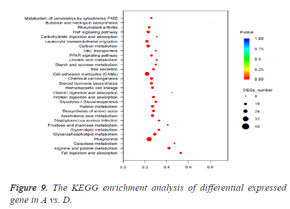 biomedres-differential-expressed-gene