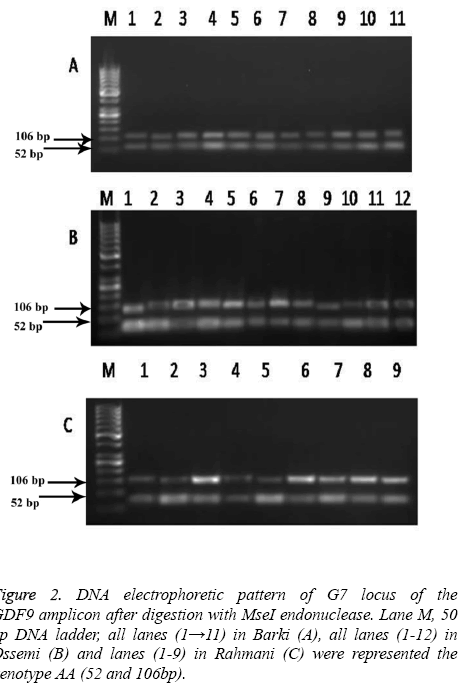 biomedres-digestion-ladder