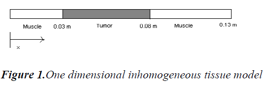 biomedres-dimensional-inhomogeneous