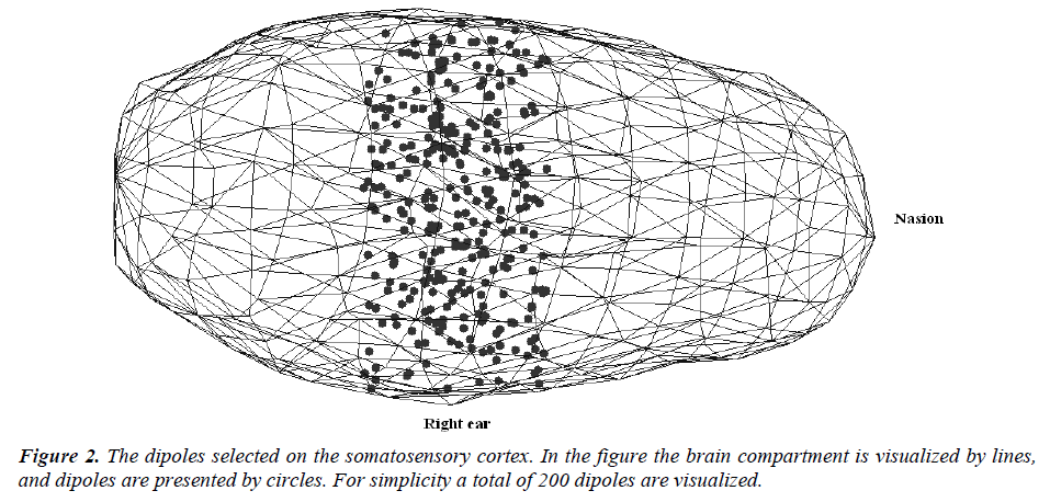 biomedres-dipoles-selected-somatosensory
