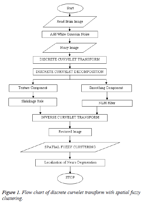 biomedres-discret-curvelet-transform