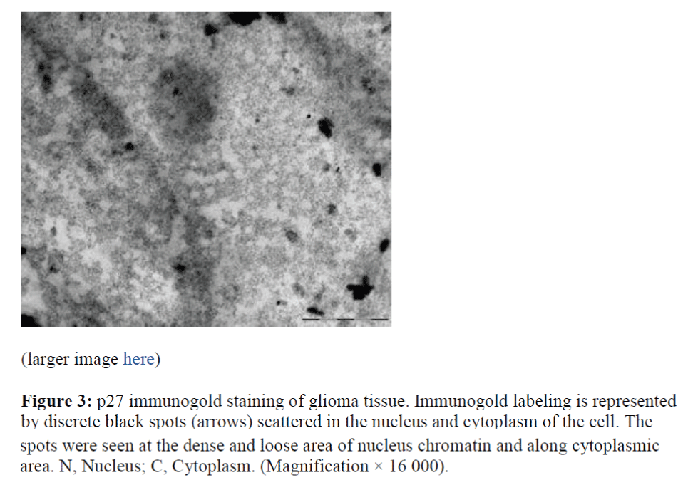 biomedres-discrete-black-spots-scattered-nucleus