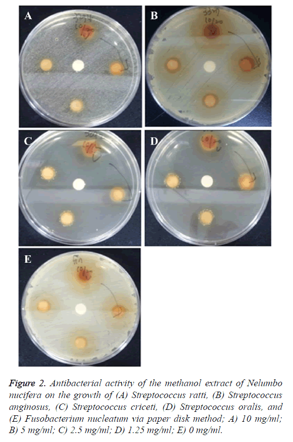 biomedres-disk-method