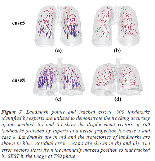 biomedres-displacement-vectors