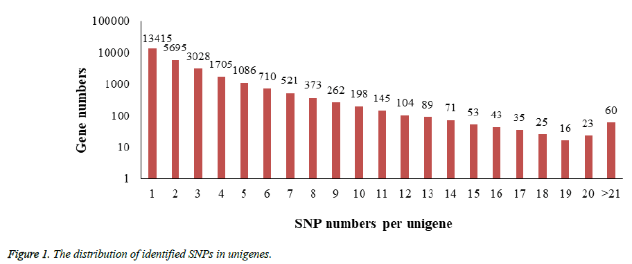 biomedres-distribution